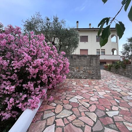 Casa Di Katia Daire Collesalvetti Dış mekan fotoğraf