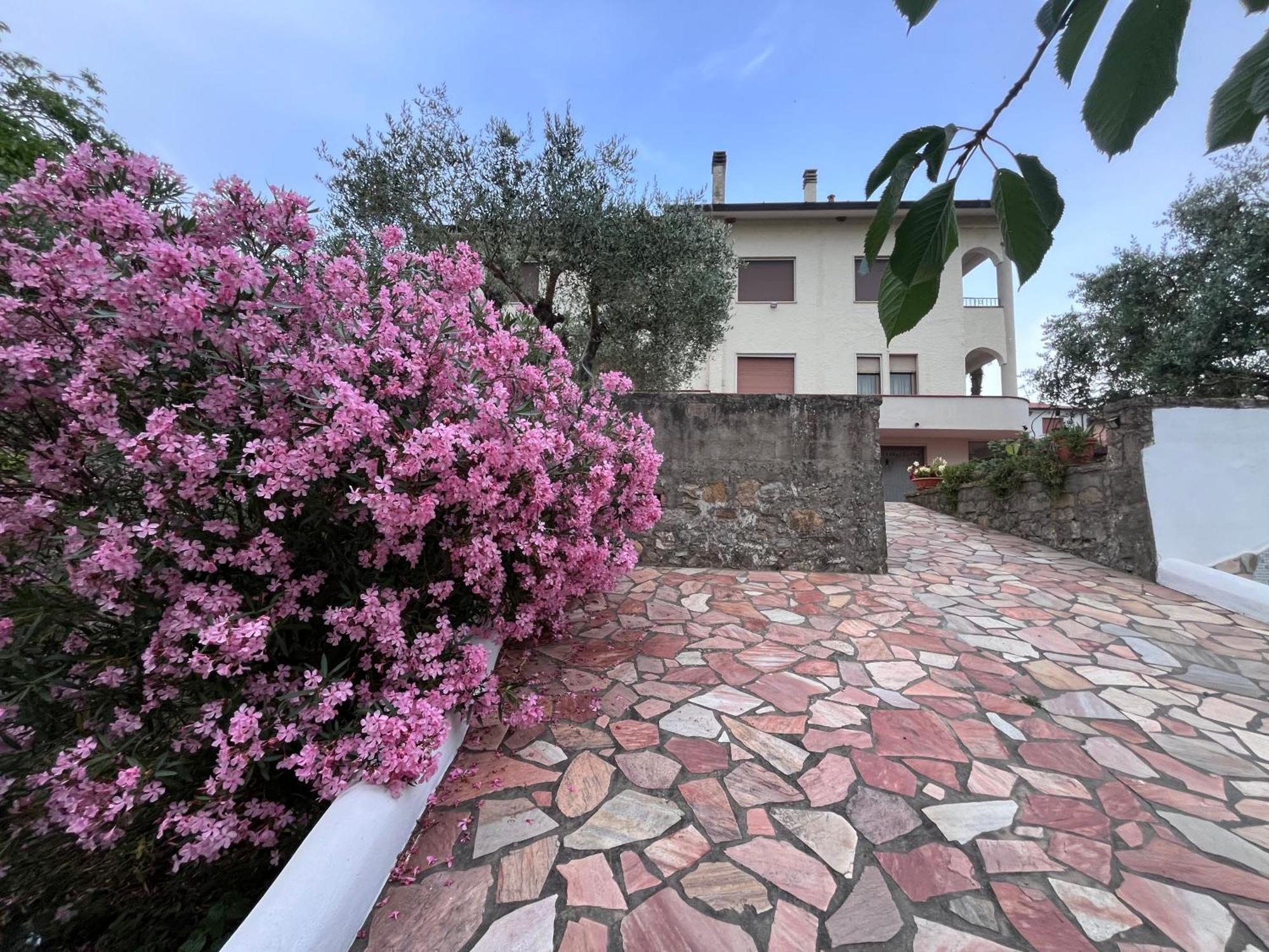 Casa Di Katia Daire Collesalvetti Dış mekan fotoğraf