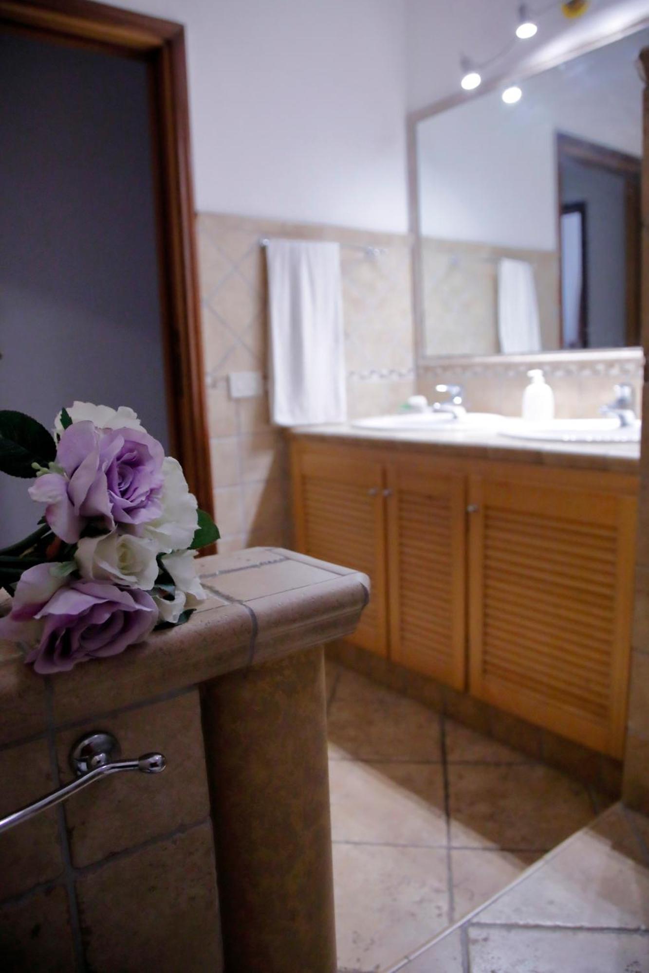 Casa Di Katia Daire Collesalvetti Dış mekan fotoğraf