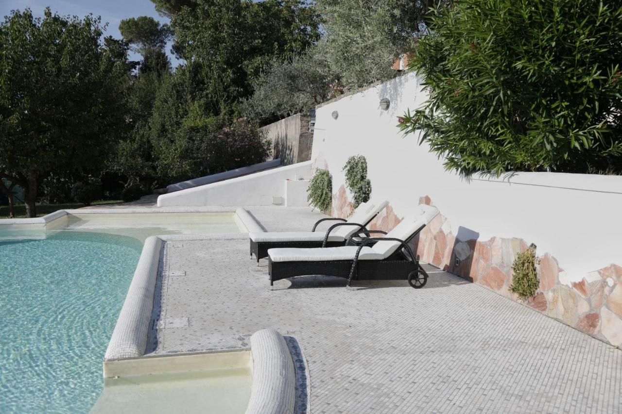 Casa Di Katia Daire Collesalvetti Dış mekan fotoğraf